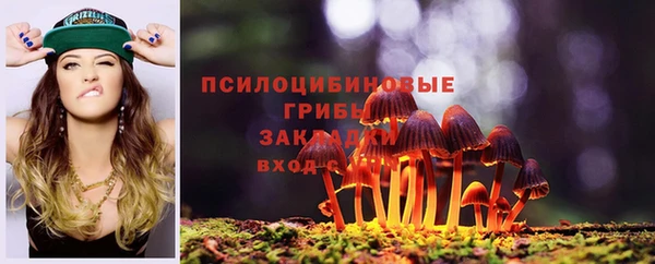 первитин Белокуриха