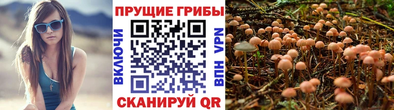 Псилоцибиновые грибы Psilocybine cubensis  Купить закладки  Учалы 